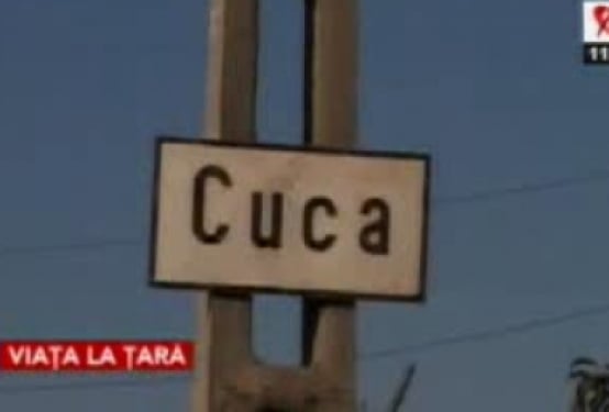 CODUL MUNCII. Ce poti face daca angajatorul vrea sa te trimita la Cuca Macaii